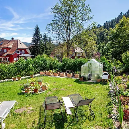 Apartment Sonnenwinkel Todtmoos